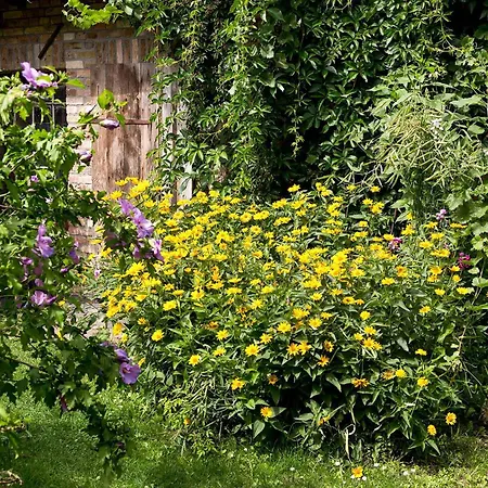 Apartment Gaenseblume - Charmante Mit Terrasse Und Garten